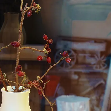 Apartament Quartier Rottewitz Meißen