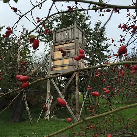 Quartier Rottewitz Daire