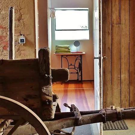 Daire Quartier Rottewitz Meißen