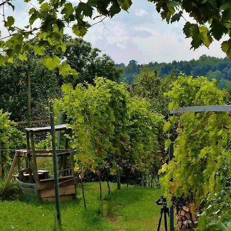 Apartament Quartier Rottewitz