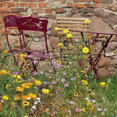 Daire Quartier Rottewitz *