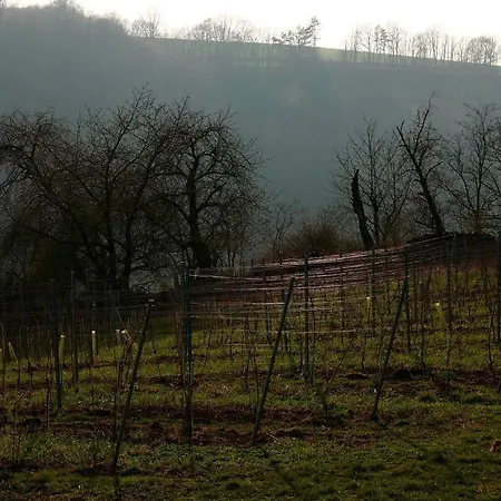 Quartier Rottewitz Apartament *