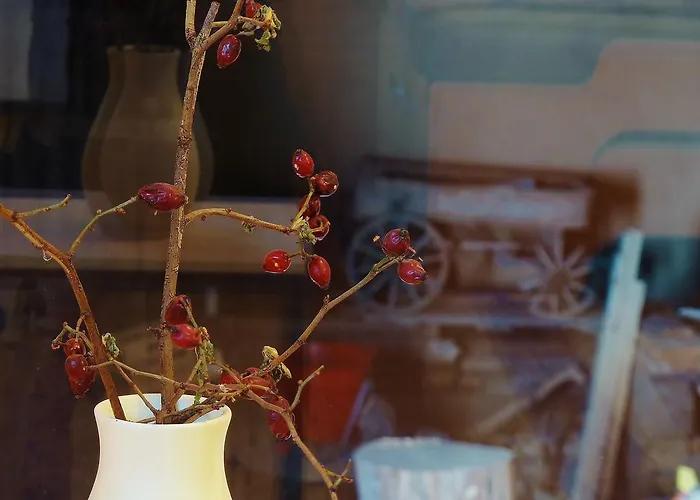 Apartment Quartier Rottewitz Meissen