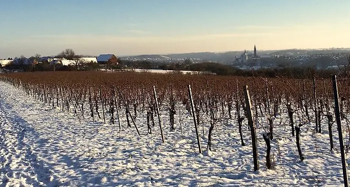 Quartier Rottewitz Apartment Meissen