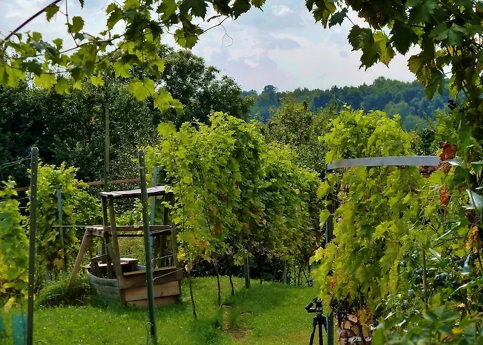 Apartment Quartier Rottewitz