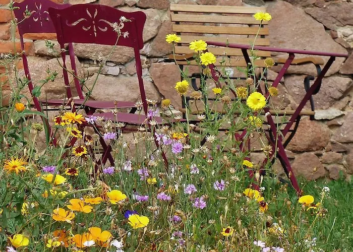 Apartment Quartier Rottewitz *