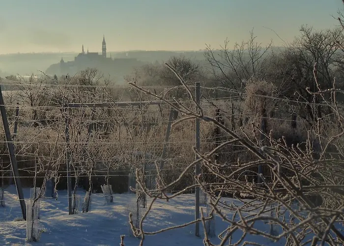 Quartier Rottewitz Meissen