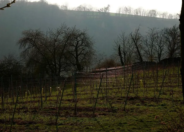 Quartier Rottewitz Apartment *